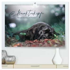 Charakterköpfe – Herzenshunde im Portrait (hochwertiger Premium Wandkalender 2024 DIN A2 quer), Kunstdruck in Hochglanz von Katharina Siebel - Sensiebelfotografie,  Saskia