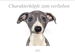 Charakterköpfe zum verlieben (Wandkalender 2022 DIN A2 quer) von Kassat Fotografie,  Nicola