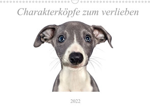 Charakterköpfe zum verlieben (Wandkalender 2022 DIN A3 quer) von Kassat Fotografie,  Nicola