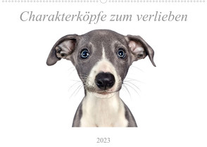 Charakterköpfe zum verlieben (Wandkalender 2023 DIN A2 quer) von Kassat Fotografie,  Nicola