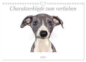 Charakterköpfe zum verlieben (Wandkalender 2024 DIN A4 quer), CALVENDO Monatskalender von Kassat Fotografie,  Nicola