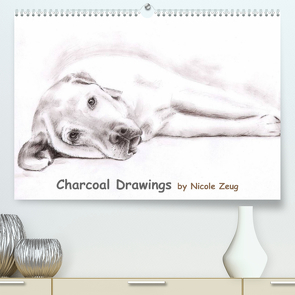 Charcoal Drawings (Premium, hochwertiger DIN A2 Wandkalender 2023, Kunstdruck in Hochglanz) von Zeug,  Nicole