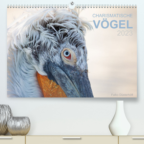 Charismatische Vögel (Premium, hochwertiger DIN A2 Wandkalender 2023, Kunstdruck in Hochglanz) von Düsterhöft,  Falko