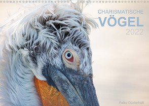 Charismatische Vögel (Wandkalender 2022 DIN A3 quer) von Düsterhöft,  Falko