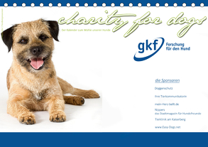 Charity for Dogs – der Kalender zum Wohle unserer Hunde (Tischkalender 2020 DIN A5 quer) von Hundeimpressionen