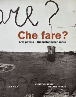 Che fare? Arte povera von Bätzner,  N, Disch,  M, Grenier,  C, Malsch,  F, Rattenmeyer,  C, Schwartz,  D, Zacharopoulos,  D