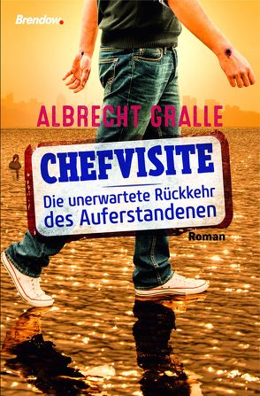 Chefvisite. Die unerwartete Rückkehr des Auferstandenen von Gralle,  Albrecht