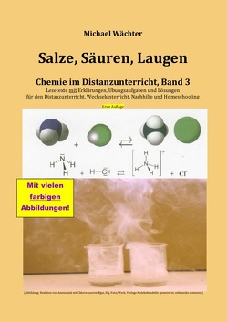 Chemie im Distanzunterricht / Salze Säuren Laugen von Wächter,  Michael