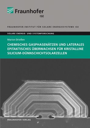 Chemisches Gasphasenätzen und laterales epitaktisches Überwachsen für kristalline Silicium-Dünnschichtsolarzellen. von Drießen,  Marion