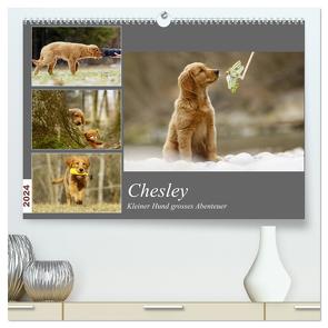 Chesley Kleiner Hund Grosses Abenteuer (hochwertiger Premium Wandkalender 2024 DIN A2 quer), Kunstdruck in Hochglanz von Bea Müller,  Hundfotografin