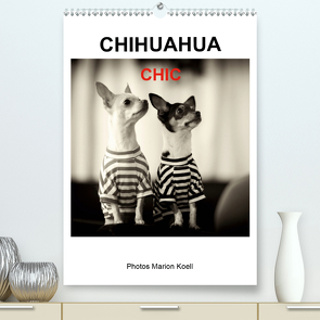 CHIHUAHUA CHIC Photos Marion Koell (Premium, hochwertiger DIN A2 Wandkalender 2021, Kunstdruck in Hochglanz) von KOELL,  MARION