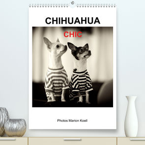 CHIHUAHUA CHIC Photos Marion Koell (Premium, hochwertiger DIN A2 Wandkalender 2023, Kunstdruck in Hochglanz) von KOELL,  MARION