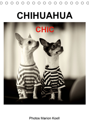 CHIHUAHUA CHIC Photos Marion Koell (Tischkalender 2021 DIN A5 hoch) von KOELL,  MARION