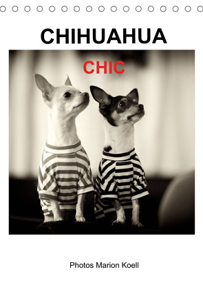 CHIHUAHUA CHIC Photos Marion Koell (Tischkalender 2022 DIN A5 hoch) von KOELL,  MARION