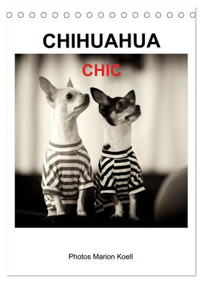 CHIHUAHUA CHIC Photos Marion Koell (Tischkalender 2024 DIN A5 hoch), CALVENDO Monatskalender von KOELL,  MARION