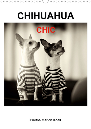 CHIHUAHUA CHIC Photos Marion Koell (Wandkalender 2021 DIN A3 hoch) von KOELL,  MARION