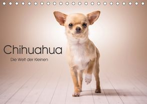 Chihuahua – Die Welt der Kleinen (Tischkalender 2018 DIN A5 quer) von Schuberts-Fotografie