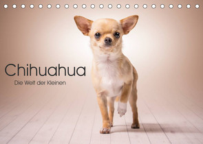 Chihuahua – Die Welt der Kleinen (Tischkalender 2023 DIN A5 quer) von Schuberts-Fotografie