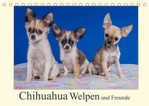 Chihuahua Welpen und Freunde (Tischkalender 2023 DIN A5 quer) von Wejat-Zaretzke,  Gabriela