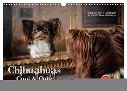 Chihuahuas – Cool and Cute (Wandkalender 2024 DIN A3 quer), CALVENDO Monatskalender von Pinkoss Photostorys,  Oliver