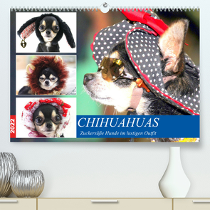 Chihuahuas. Zuckersüße Hunde im lustigen Outfit (Premium, hochwertiger DIN A2 Wandkalender 2022, Kunstdruck in Hochglanz) von Hurley,  Rose