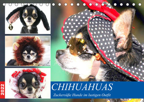 Chihuahuas. Zuckersüße Hunde im lustigen Outfit (Tischkalender 2022 DIN A5 quer) von Hurley,  Rose