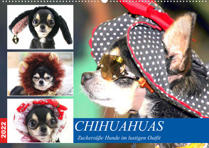 Chihuahuas. Zuckersüße Hunde im lustigen Outfit (Wandkalender 2022 DIN A2 quer) von Hurley,  Rose