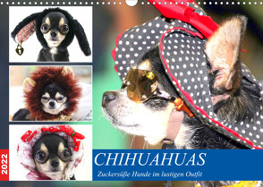 Chihuahuas. Zuckersüße Hunde im lustigen Outfit (Wandkalender 2022 DIN A3 quer) von Hurley,  Rose