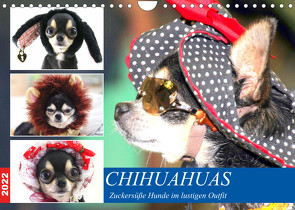 Chihuahuas. Zuckersüße Hunde im lustigen Outfit (Wandkalender 2022 DIN A4 quer) von Hurley,  Rose