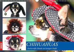 Chihuahuas. Zuckersüße Hunde im lustigen Outfit (Wandkalender 2023 DIN A3 quer) von Hurley,  Rose