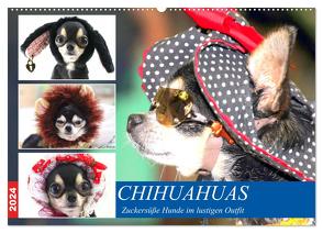 Chihuahuas. Zuckersüße Hunde im lustigen Outfit (Wandkalender 2024 DIN A2 quer), CALVENDO Monatskalender von Hurley,  Rose