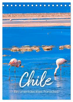 Chile – Ein unentdecktes Paradies. (Tischkalender 2024 DIN A5 hoch), CALVENDO Monatskalender von SF,  SF