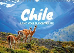 Chile – Land voller Kontraste (Wandkalender 2019 DIN A3 quer) von Tischer,  Daniel