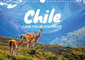 Chile – Land voller Kontraste (Wandkalender 2020 DIN A4 quer) von Tischer,  Daniel