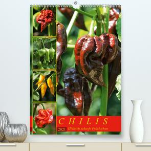 Chilis – Höllisch scharfe Früchtchen (Premium, hochwertiger DIN A2 Wandkalender 2021, Kunstdruck in Hochglanz) von Cross,  Martina