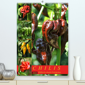 Chilis – Höllisch scharfe Früchtchen (Premium, hochwertiger DIN A2 Wandkalender 2022, Kunstdruck in Hochglanz) von Cross,  Martina