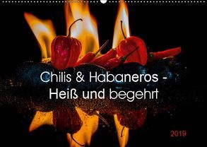 Chilis und Habaneros – Heiß und begehrt (Wandkalender 2019 DIN A2 quer) von Seibertz,  Juergen