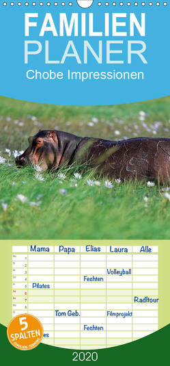 Chobe Impressionen – Familienplaner hoch (Wandkalender 2020 , 21 cm x 45 cm, hoch) von Wolf,  Gerald