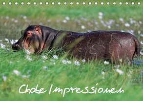 Chobe Impressionen (Tischkalender 2018 DIN A5 quer) von Wolf,  Gerald