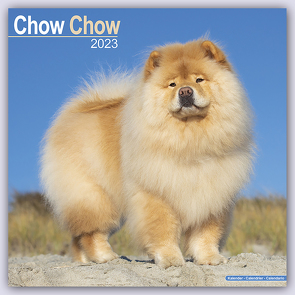 Chow Chow 2023 – 16-Monatskalender