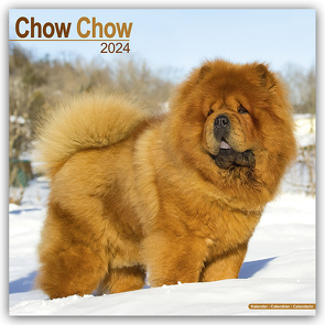 Chow Chow 2024 – 16-Monatskalender