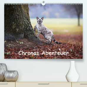 Chronas Abenteuer (Premium, hochwertiger DIN A2 Wandkalender 2020, Kunstdruck in Hochglanz) von meets Elos Photography,  Robyn