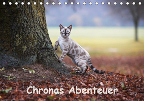 Chronas Abenteuer (Tischkalender 2021 DIN A5 quer) von meets Elos Photography,  Robyn