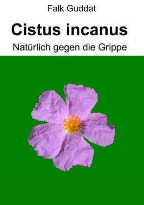 Cistus incanus von Guddat,  Falk