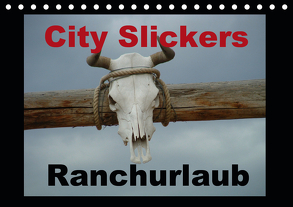 City Slickers – Ranchurlaub (Tischkalender 2020 DIN A5 quer) von Pilz,  Steffi