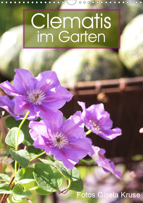 Clematis im Garten (Wandkalender 2020 DIN A3 hoch) von Kruse,  Gisela