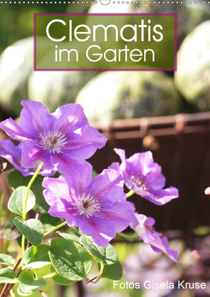Clematis im Garten (Wandkalender 2021 DIN A2 hoch) von Kruse,  Gisela