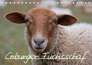 Coburger Fuchsschaf (Tischkalender 2022 DIN A5 quer) von Kelle-Dingel,  Cordula