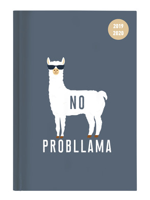 Collegetimer Llama 2019/2020 – Lama – Schülerkalender A5 (15 x 21) – Day By Day – 352 Seiten – Terminplaner – Notizbuch von ALPHA EDITION