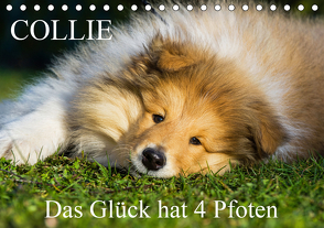 Collie – Das Glück hat 4 Pfoten (Tischkalender 2021 DIN A5 quer) von Starick,  Sigrid